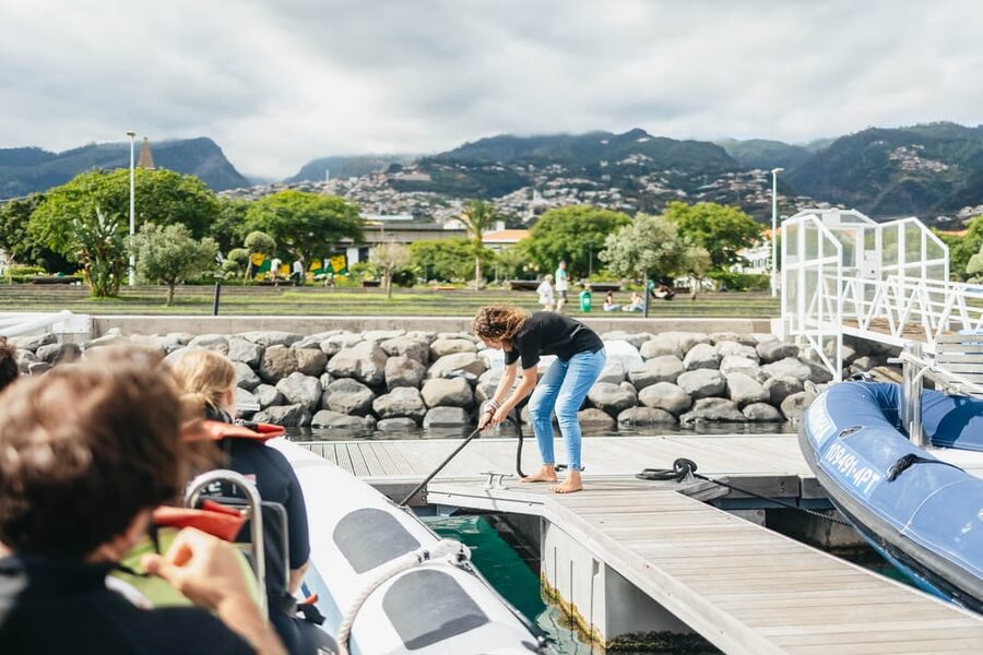 From Funchal: Whales and Dolphin Adventure Tour - The two hours that really matter: speed, scanning, and Madeira’s open water