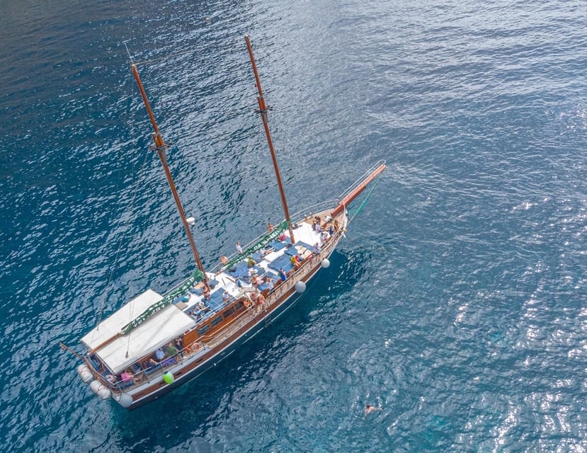 From Funchal: Wooden Boat Excursion to Desertas Island - The long Atlantic sail: why marine life sightings are part of the deal