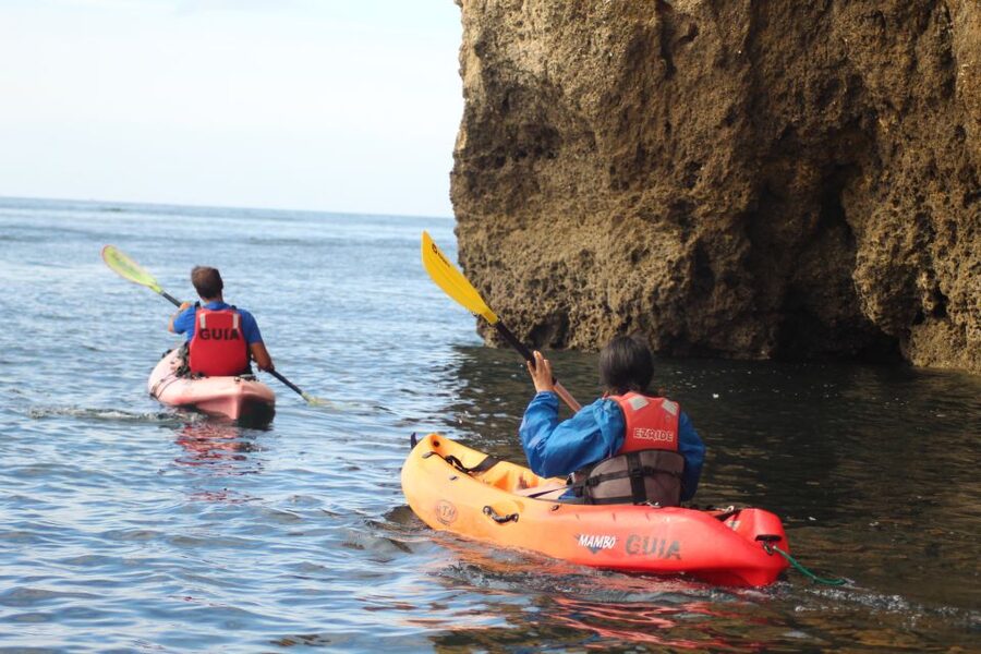 From Lagos: Algarve Coast and Caves by Kayak - Kayak, Caves, and a Boat-Only Beach: Quick Take