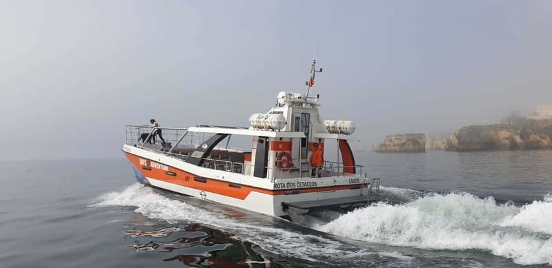 From Lagos: Benagil Caves Catamaran Cruise - The Swim Stop Near Benagil: Perfect When It Works