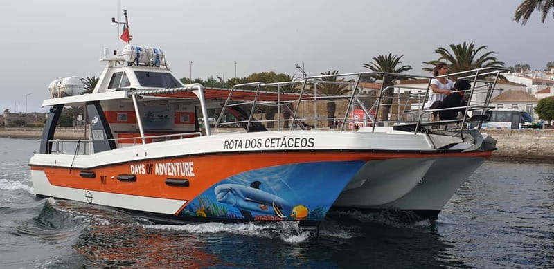 From Lagos: Benagil Caves Catamaran Cruise - Wind, Spray, and the Realities of Open Water