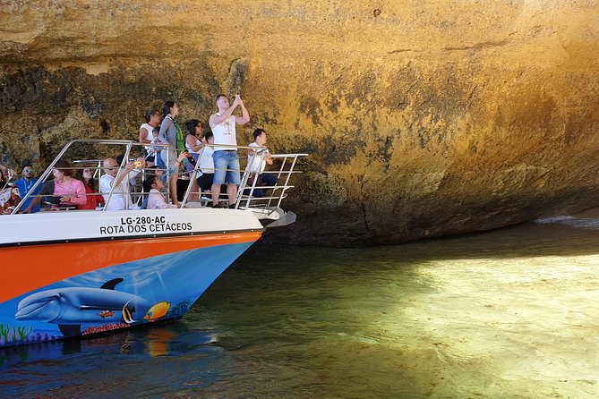 From Lagos: Benagil Caves Cruise on a Catamaran - Coastline cruising: caves, cliffs, and dolphin odds