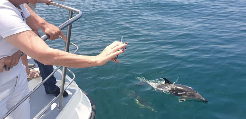 From Lagos: Dolphin Watching Catamaran Cruise - Should You Book This Dolphin Watching Catamaran Cruise?