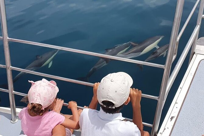 From Lagos: Dolphin Watching Cruise on a Catamaran - Key highlights you will feel on the water