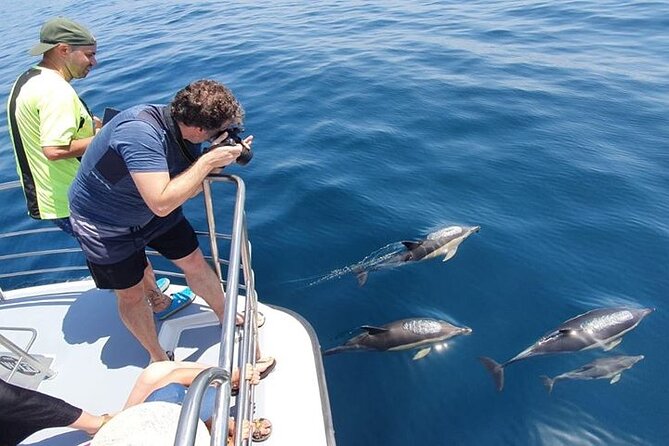 From Lagos: Dolphin Watching Cruise on a Catamaran - How spotting works on board, including Steve and that extra helping hand