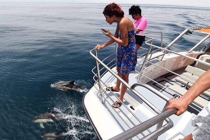 From Lagos: Dolphin Watching Cruise on a Catamaran - What else you might see on the route, beyond dolphins