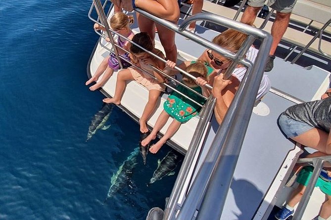 From Lagos: Dolphin Watching Cruise on a Catamaran - Price and logistics: when $48.39 feels like a smart value