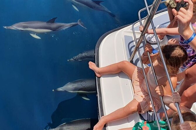 From Lagos: Dolphin Watching Cruise on a Catamaran - Comfort and safety tips that can save your trip