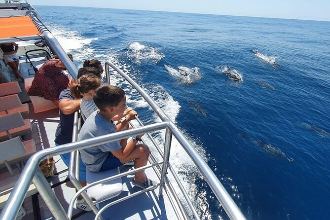 From Lagos: Dolphin Watching Cruise on a Catamaran - Who this tour fits best in Lagos, and who should think twice