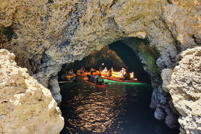 From Lagos: Kayak Tour of Ponta da Piedade Caves on Catamaran - Ponta da Piedade grottos and cliff views, plus marine-life odds