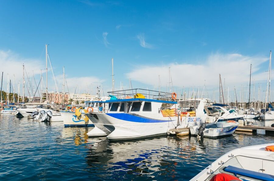 From Lagos: Kayaking and Boat Cave Explorer Tour - Guides, safety, and that calm you want on open water