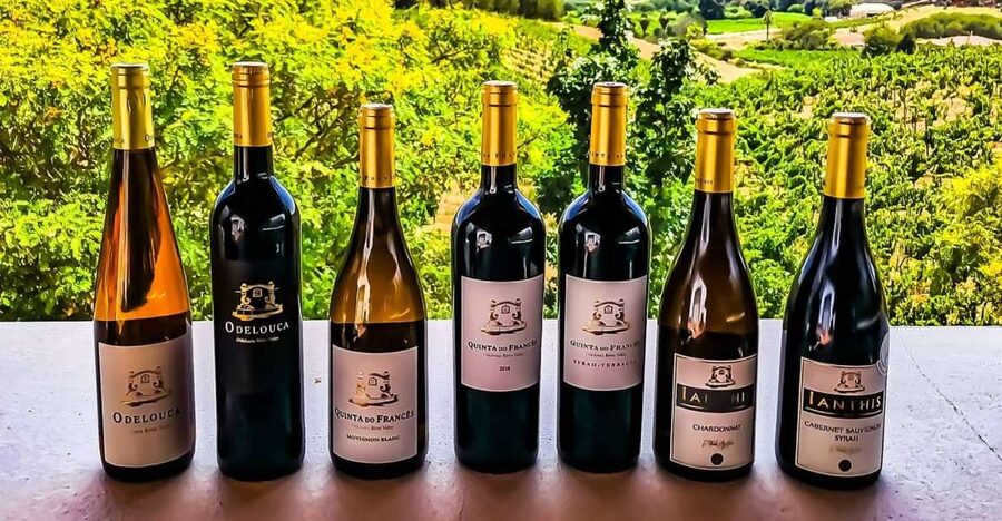 From Lagos: Small-Group 4-Hour Wine Tasting Tour - Silves on Your Own: Moorish Streets and Castle Views