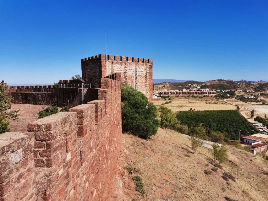 From Lagos: Small-Group 4-Hour Wine Tasting Tour - Tasting the Algarve: Three Wines and Tapas That Feel Thoughtful