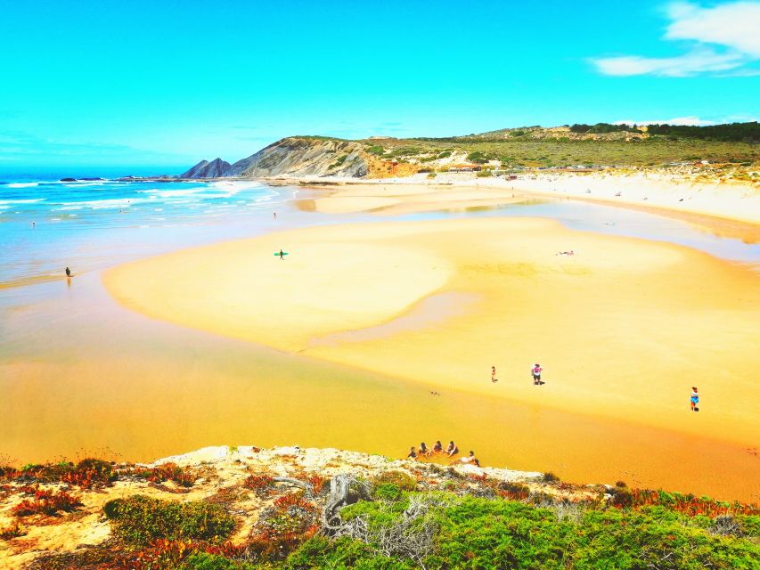 From Lagos: Wild and Wonderful West Coast Full-Day Tour - Key Moments You Should Expect