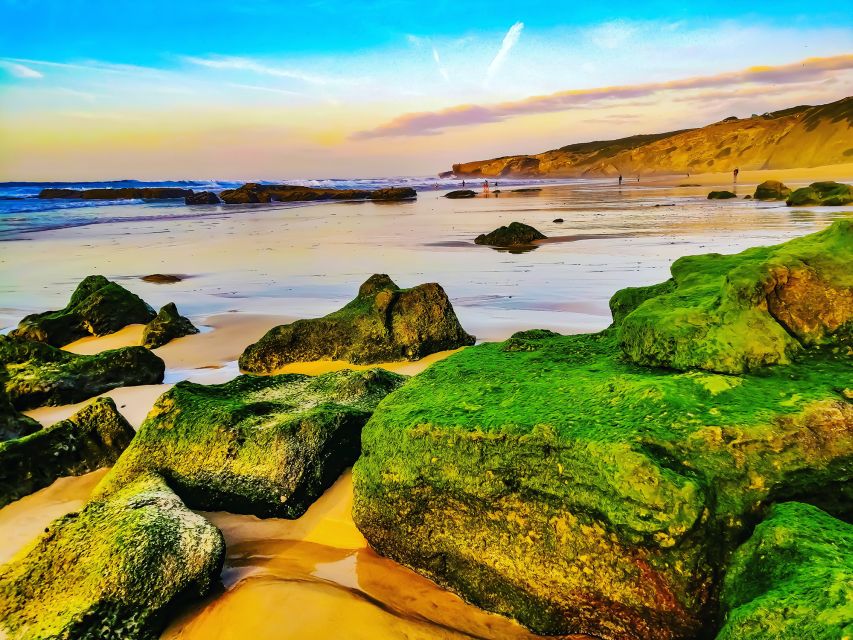 From Lagos: Wild and Wonderful West Coast Full-Day Tour - Sagres Fortaleza: Tickets Included, Plus the Church and Sundial