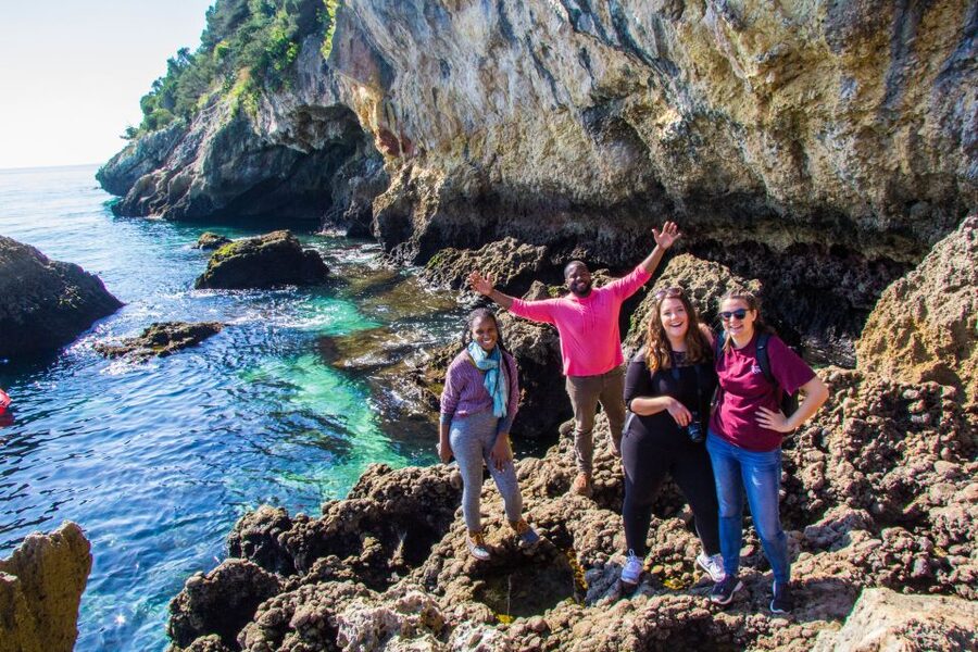 From Lisbon: Arrábida Day Tour & Wine Tasting - Catralvos farm and winery: the 3-wine tasting finale with Moscatel