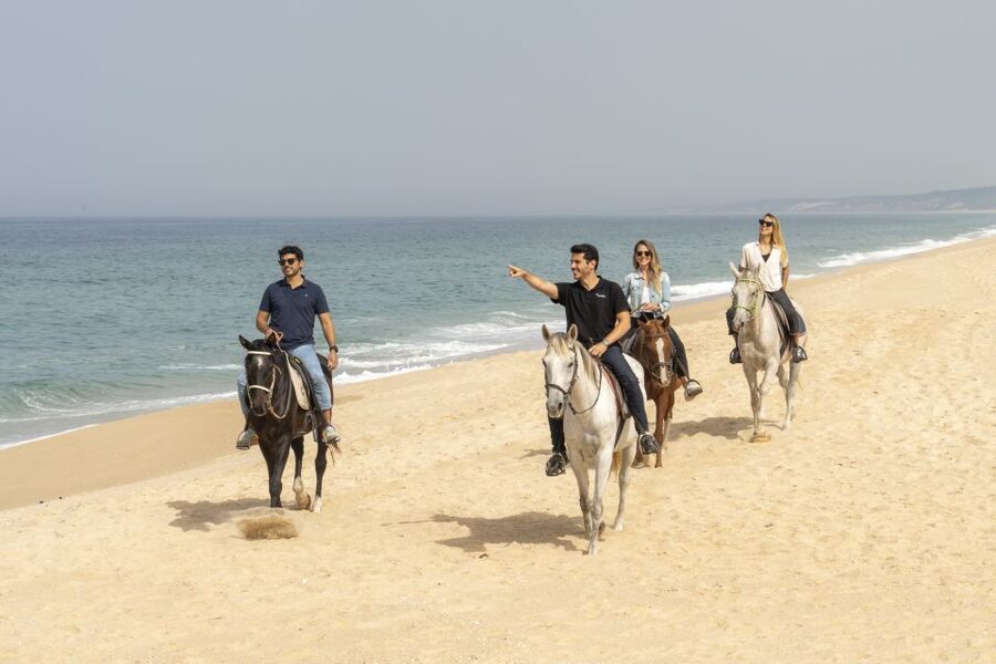 From Lisbon: Comporta and Setúbal Trip with Horseback Riding - From Lisbon to Sado Estuary Views, Without the Stress