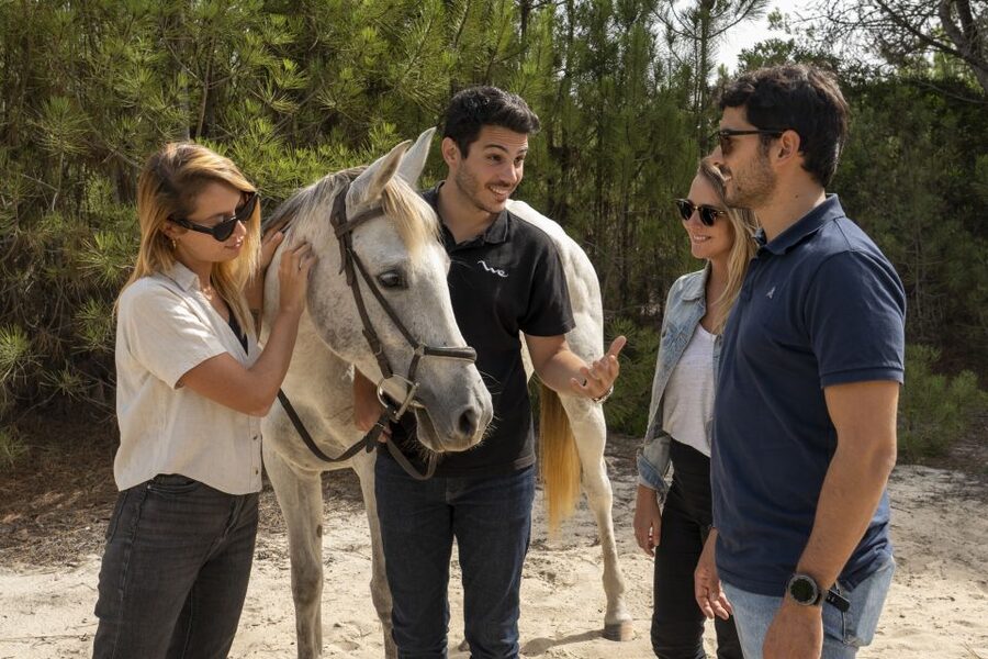 From Lisbon: Comporta and Setúbal Trip with Horseback Riding - Timing That Fits 6 Hours, and How to Make It Comfortable