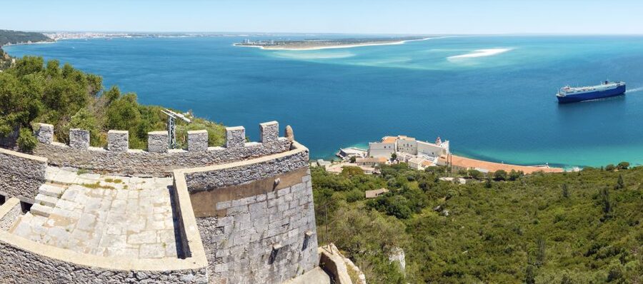 From Lisbon: Comporta and Setúbal Trip with Horseback Riding - Who Should Book This Comporta and Setúbal Day Trip