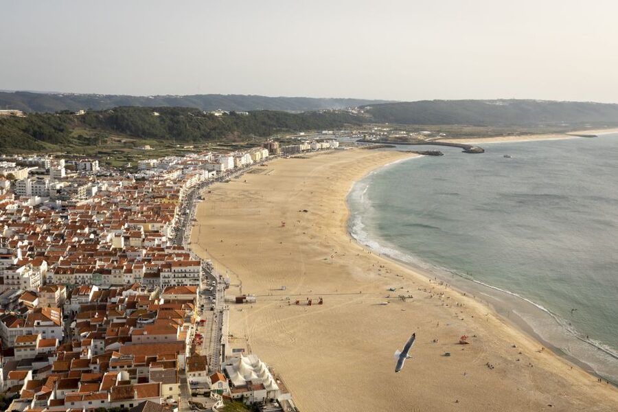From Lisbon: Day Trip to Porto, Óbidos, and Nazaré - Lunch timing, food choices, and not losing the day