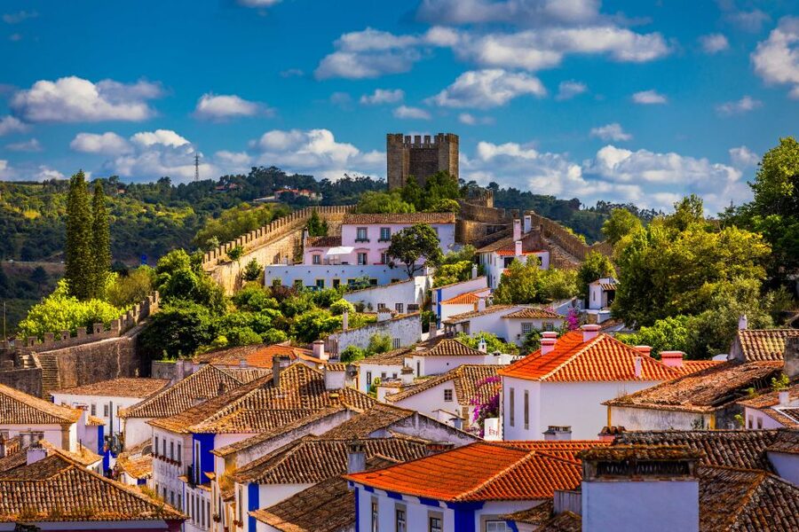 From Lisbon: Day Trip to Porto, Óbidos, and Nazaré - Price and value around $97, and who should book this day trip
