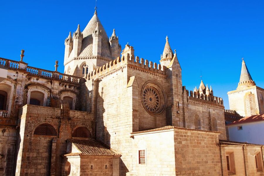 From Lisbon: Évora Wine & Heritage Tour - Old Town walking, Évora market time, and how to use your free hour