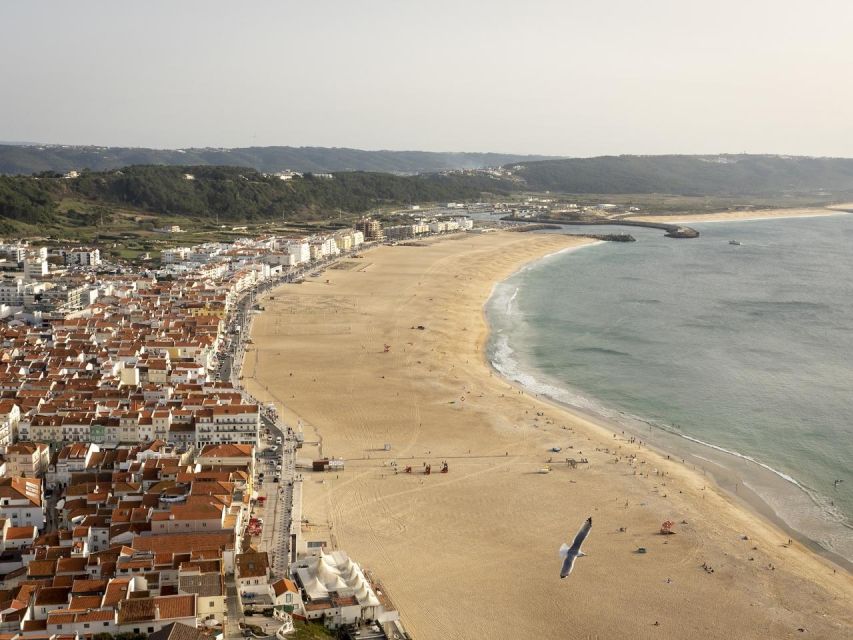 From Lisbon: Fátima, Nazaré and Sintra Guided Tour - A 9-hour Lisbon-to-Three-Icons plan that actually makes sense