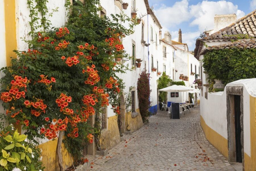 From Lisbon: Fátima, Óbidos Medieval, Nazaré Atlantic Coast - Nazaré cliffs and the Atlantic fishing village for lunch and views