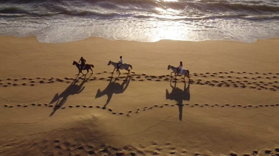 From Lisbon: Horseback Riding on Comporta Beach - Key things to know before you go