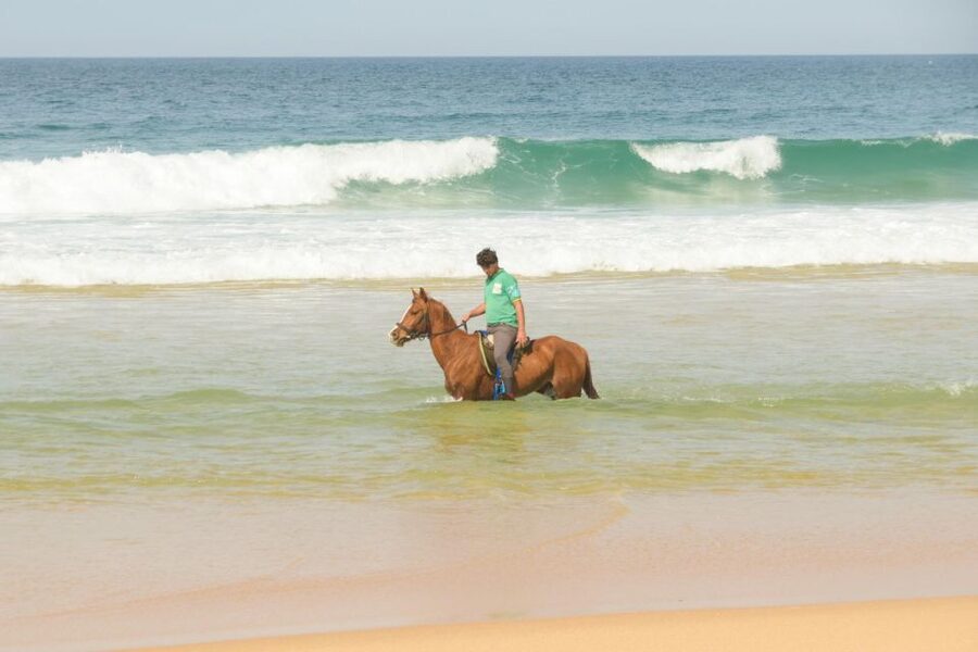 From Lisbon: Horseback Riding on Comporta Beach - Why Comporta Beach horseback riding feels different from a typical coast tour