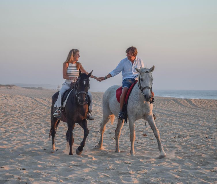 From Lisbon: Horseback Riding on Comporta Beach - Horses by the Beach: Lusitano first, then other breeds