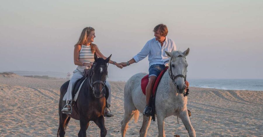 From Lisbon: Horseback Riding on Comporta Beach - Lisbon to Comporta: the drive time that shapes your expectations