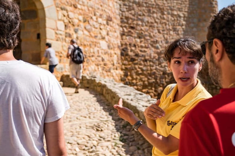 From Lisbon: Knights Templar Day Tour in Tomar - From Lisbon pickup at 08:00 to central drop-off, and why the small group helps