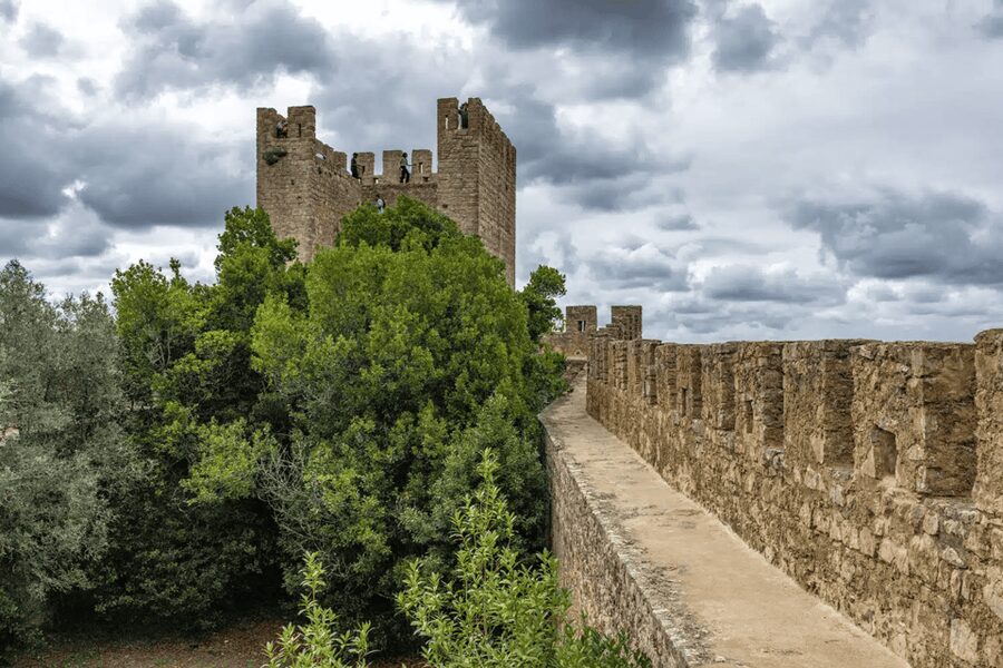 From Lisbon: Nazare Big Waves and Óbidos Guide Day Trip - Fishing Harbor Time: Traditional Dress and Waterfront Energy