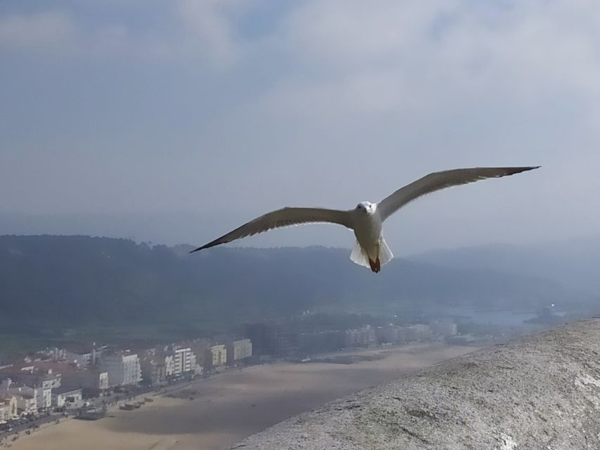 From Lisbon: Private Óbidos and Nazaré Tour - Should You Book This Óbidos and Nazaré Private Tour?