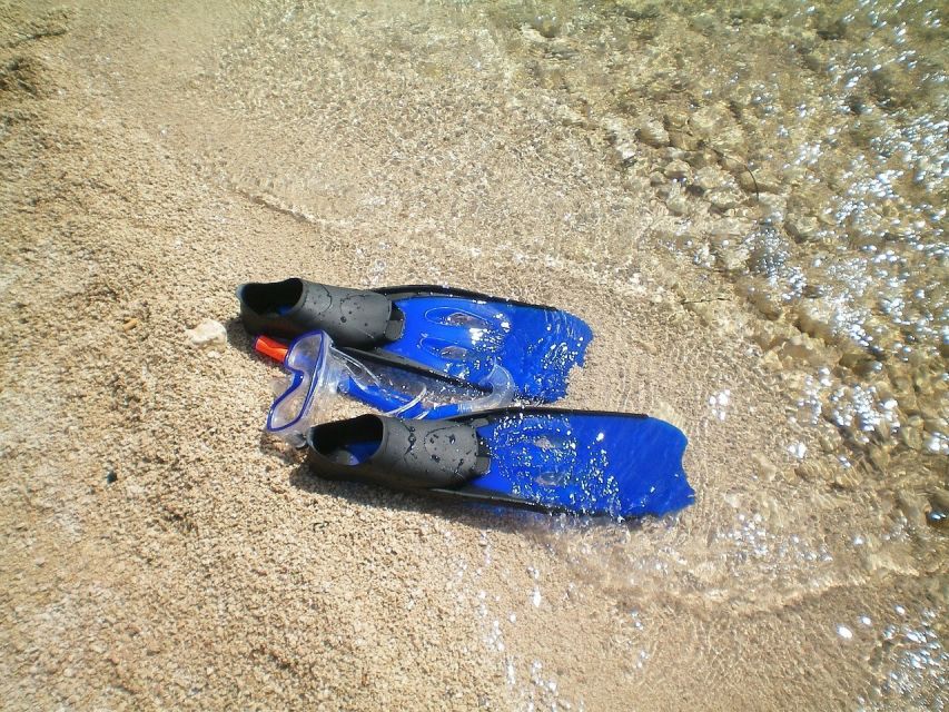 From Lisbon: Sesimbra Wild Beach Tour - Swim, Snorkel, and Rock Jumps: What to Expect at Sesimbra
