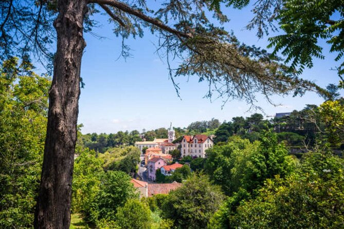From Lisbon: Sintra, Pena Palace & Wine Tasting Small-Group Tour - Why This Sintra, Pena, Wine, and Coast Day Works So Well
