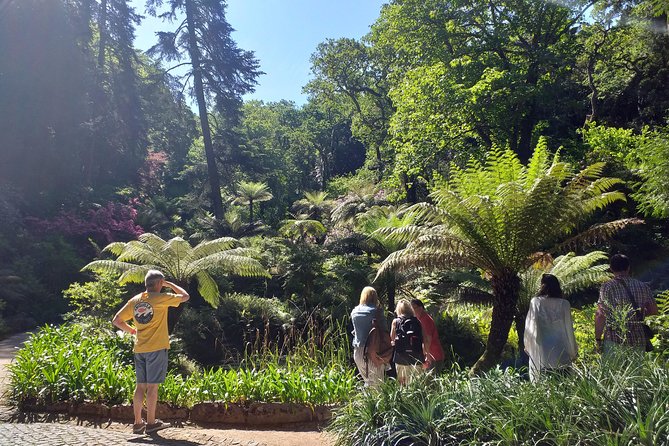 From Lisbon: Sintra's Historical and Natural Gems - What you really pay: $80 plus tickets and a €25 cash reimbursement