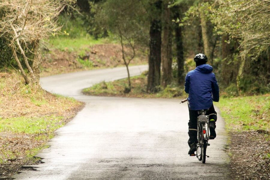 From Lisbon: Sintra to Cascais Full-Day Guided E-Bike Tour - Azóia Lunch Break: Where to Fuel for the Climb