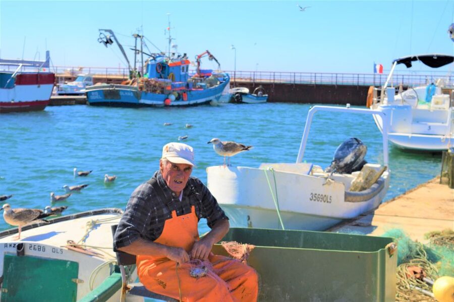 From Olhão: Ria Formosa 3-Island Full-Day Tour - What you can spot in the water and at low tide