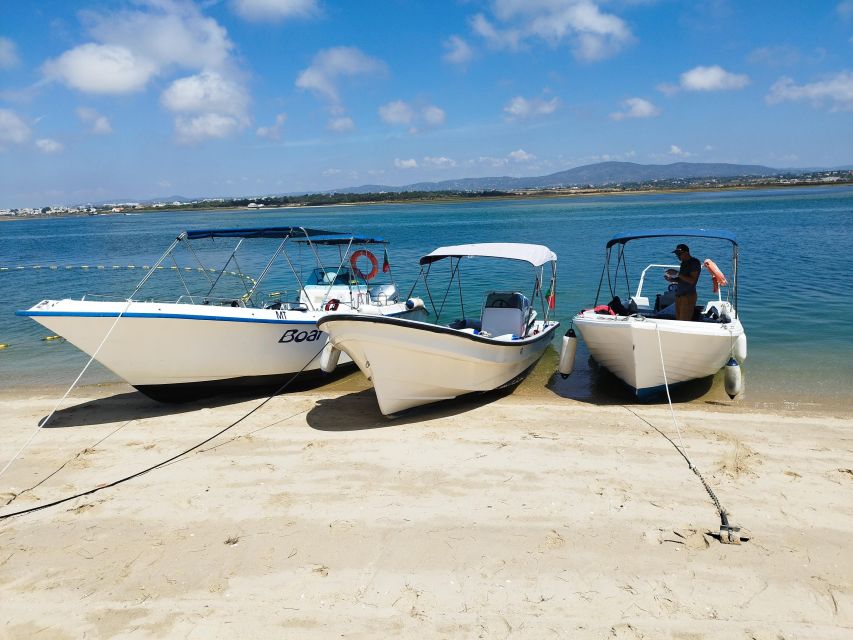 From Olhão: Ria Formosa 3-Island Full-Day Tour - Stop 2: Armona Island walks, flowers, and year-round life