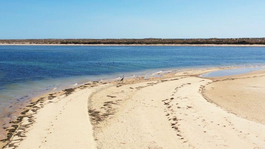 From Olhão: Ria Formosa 3-Island Full-Day Tour - Stop 3: Culatra Island, fishing village time, and a lunch choice that feels real