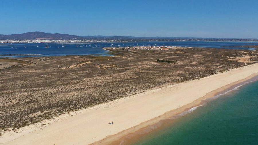 From Olhão: Ria Formosa 3-Island Full-Day Tour - Stop 4: The deserted beach or Armona swap, depending on season