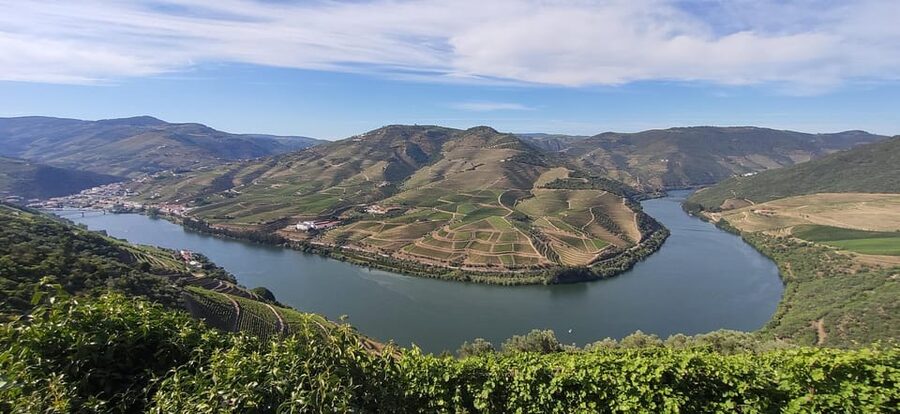 From Pinhão: Douro Valley Tour w/ Wine Tasting and Boat Trip - Key things you’ll notice right away