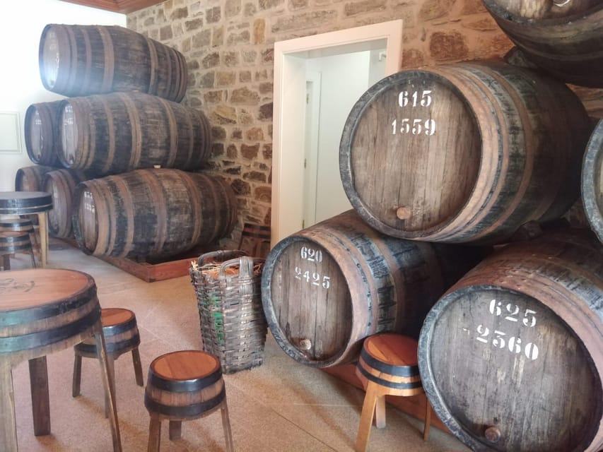 From Pinhão: Douro Valley Tour w/ Wine Tasting and Boat Trip - The 15-minute viewpoint stop: quick, not pointless