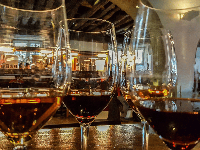 From Pinhão: Douro Valley Tour w/ Wine Tasting and Boat Trip - What the guides bring, and why it matters more than you think