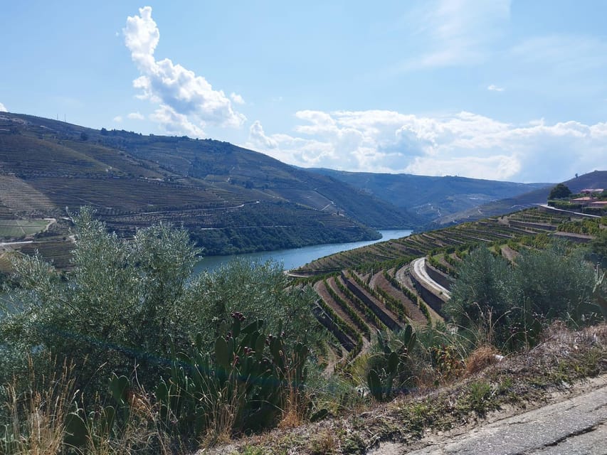 From Pinhão: Douro Valley Tour w/ Wine Tasting and Boat Trip - Group size and the pace: why three hours feels doable