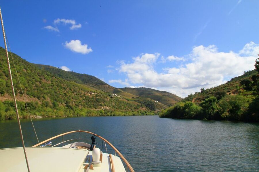 From Pinhão: Private Yacht Cruise along the Douro River - Price and value at $82 per person