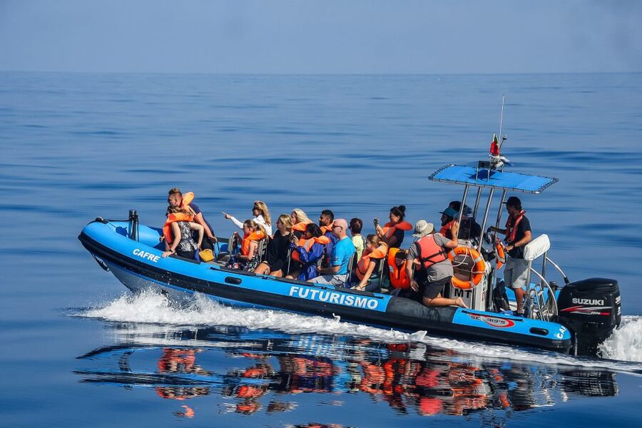 From Ponta Delgada: Whale and Dolphin Watching Trip - Safety briefing and animal etiquette that protects both you and the whales