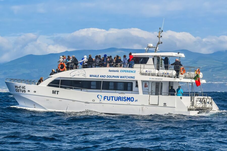 From Ponta Delgada: Whale and Dolphin Watching Trip - When the day goes quiet: the second tour safety net